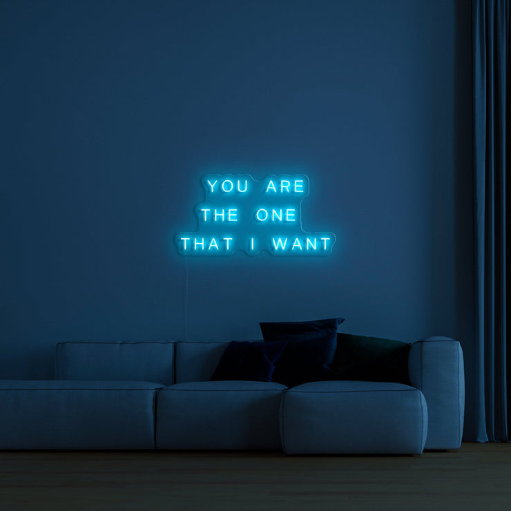 'You are the one that I want' LED Neon Verlichting