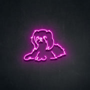 Shih Tzu' Neon Sign