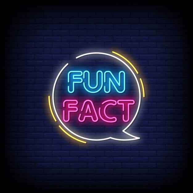 Fun Fact Neon Sign - Neon Pink Aesthetic